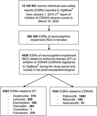 Neurocognitive impairment in females with breast cancer treated with endocrine therapy and CDK4/6 inhibitors: a pharmacovigilance study using the World Health Organization’s database